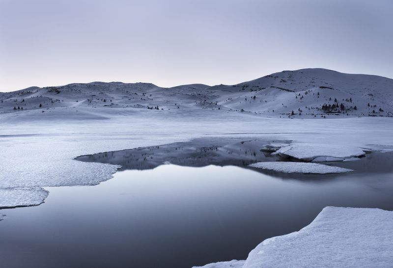 My portfoliophoto preview