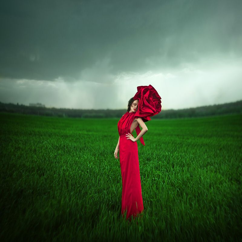 Heavy Rainphoto preview