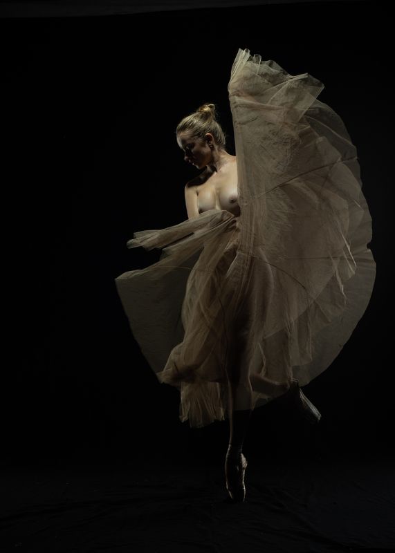 ballet, nude Ballet 02photo preview