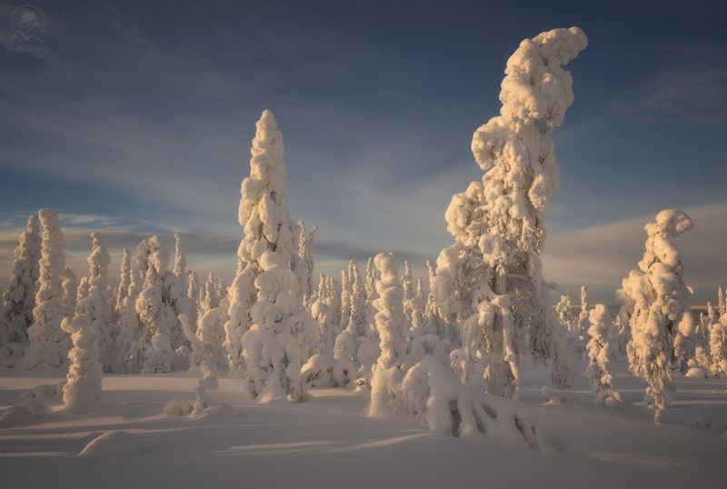 паанаярви Зимние фигуры фото превью