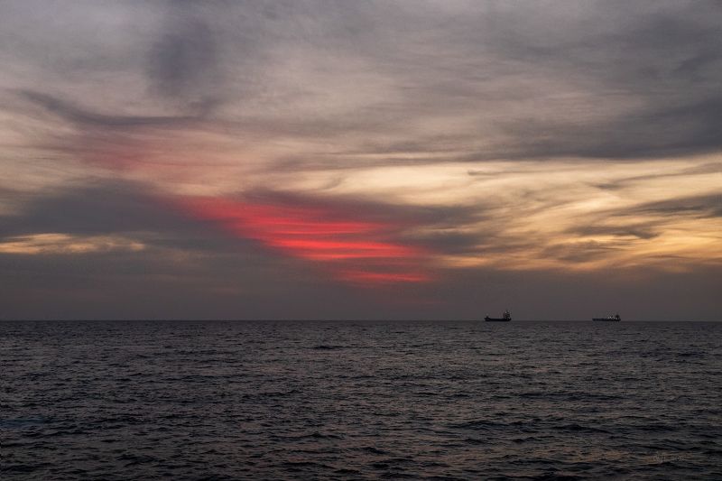 Кисть Мастера фото превью