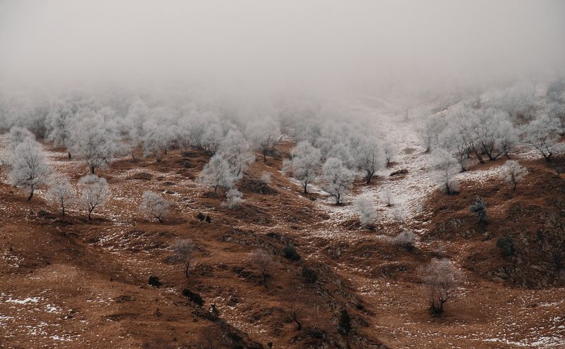 горы, снег, мороз, облака, Кавказ, Эльбрус Морозное утроphoto preview