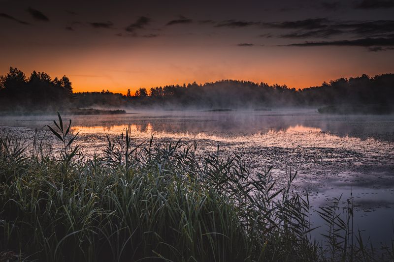 ...........photo preview