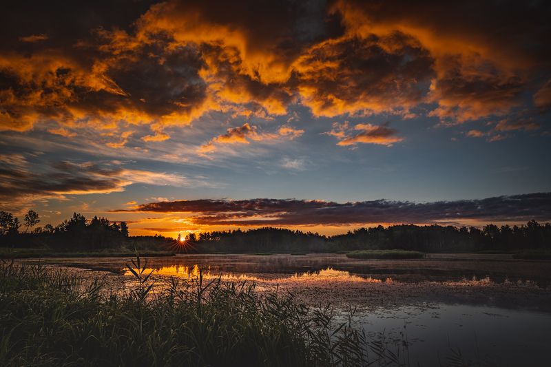 .........photo preview