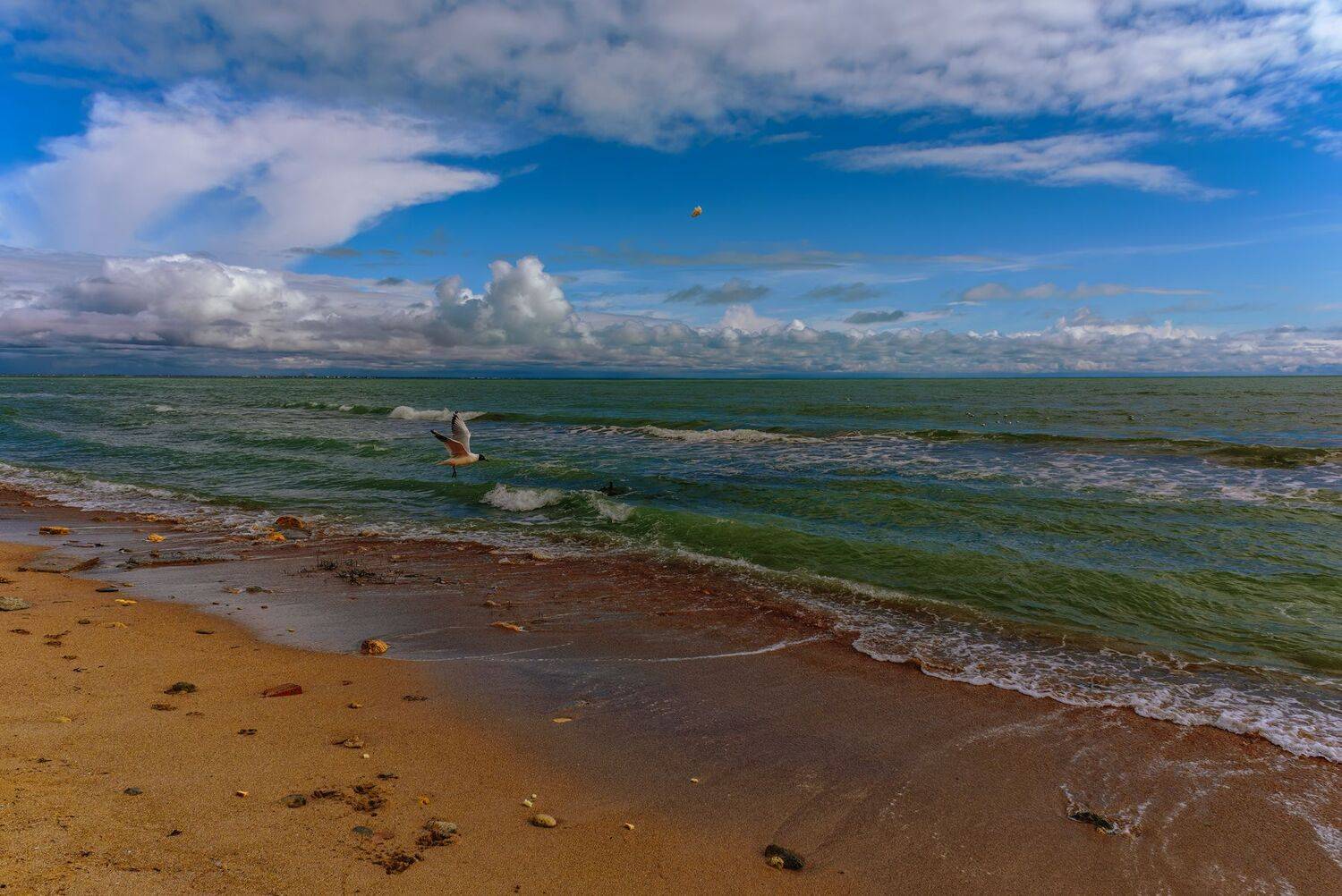 Евпаторийское побережье. Автор: Владимир Гамаюнов , Владимир Гамаюнов