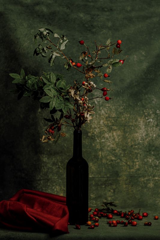 Шиповникphoto preview