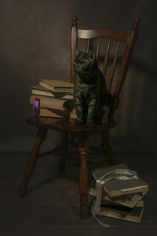 критикphoto preview