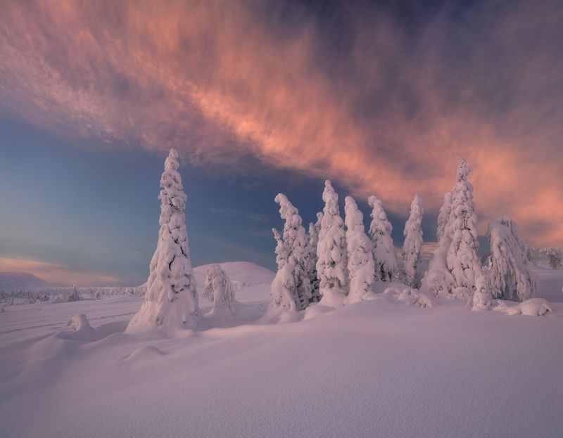 гух Взмах огненного крыла...photo preview