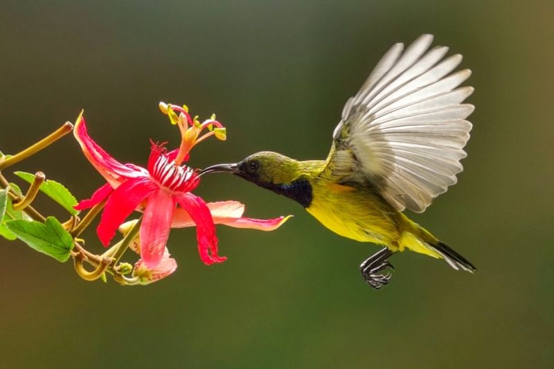 Meal Timephoto preview