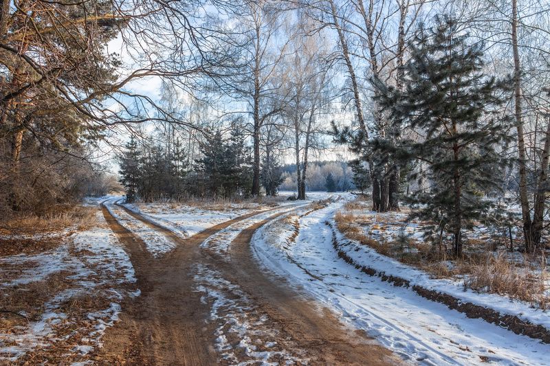 зима, заповедник, лес, снег, иней, природа photo preview