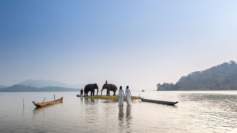 elephants, aodai Ao dai va Voiphoto preview