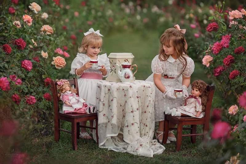 Tea party for dollsphoto preview