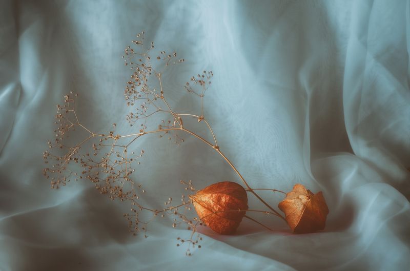 Нежность фото превью