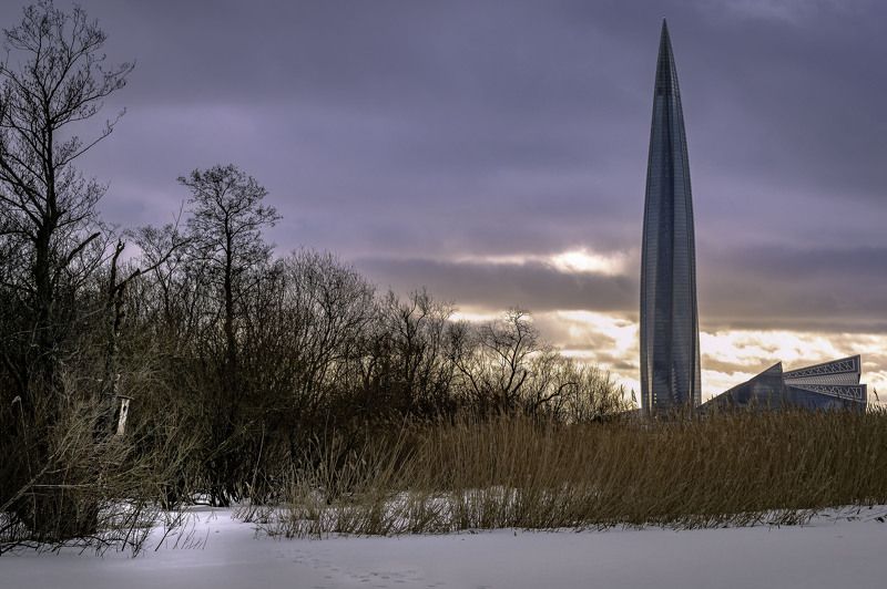 Скворечник и небоскребphoto preview