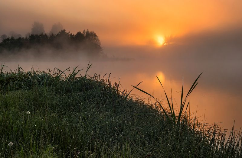 ...............photo preview