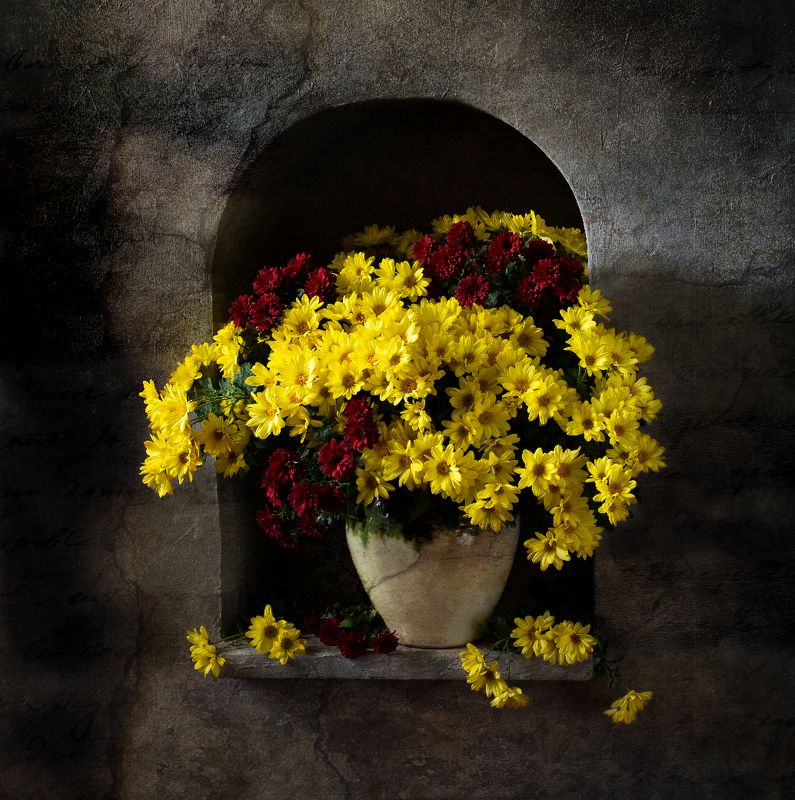 натюрморт, цветы, хризантемы Хризантемы осениphoto preview