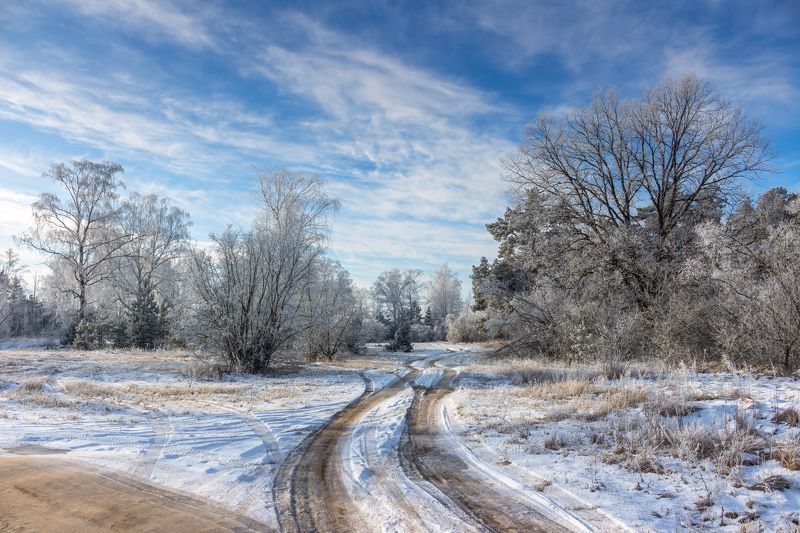 лес, деревья, зима, иней, природа photo preview
