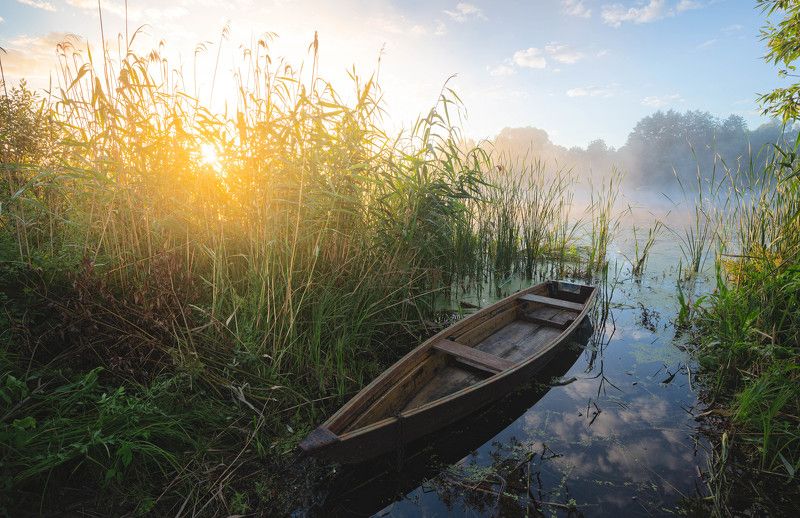 Утро 1 августаphoto preview