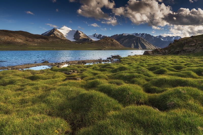 горы, тянь-шань, киргизия, арабель Летний вечер на плато Арабельphoto preview