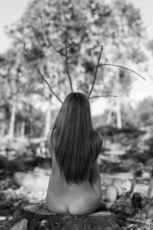 Avatarasphoto preview