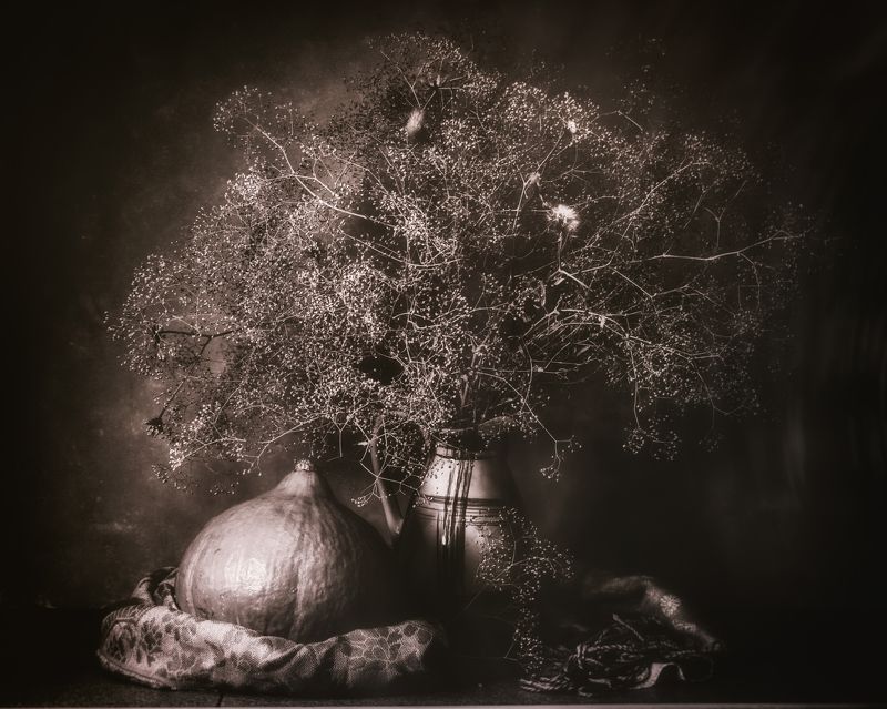 Сухоцветы и тыква фото превью