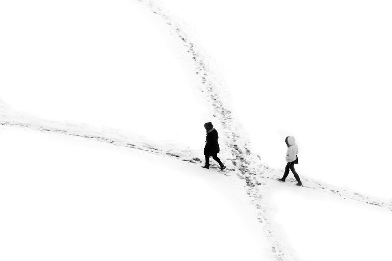 winter, snow, people, abstract, silhouettes, black, white, зимой, снег,  По шагамphoto preview