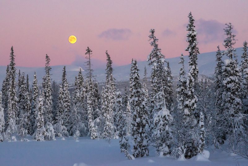 север, кольский, хибины, заполярье, Утренний сонphoto preview