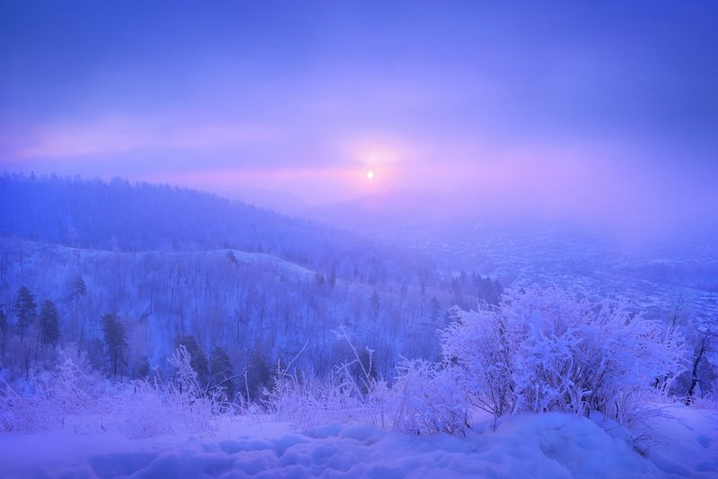 Во мгле морозной.photo preview