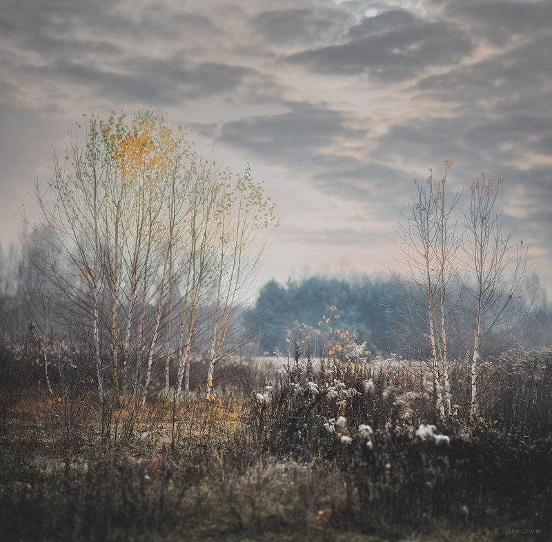 Lublinekphoto preview