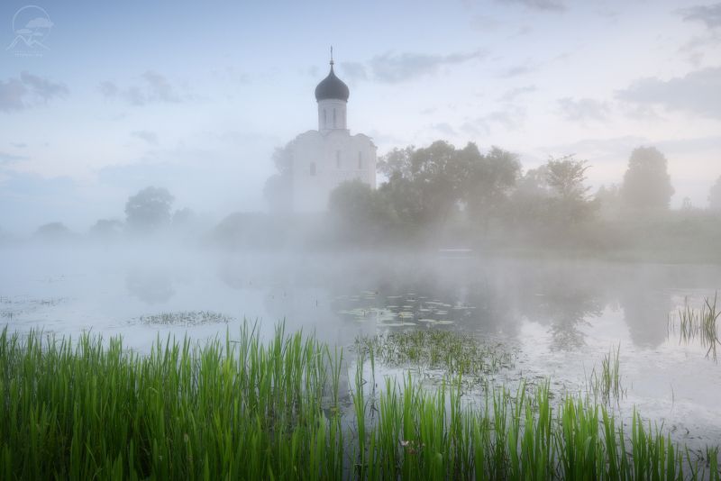 покрова на нерли, боголюбово, фототуры выходного дня, храм, лето, туман Магия туманаphoto preview