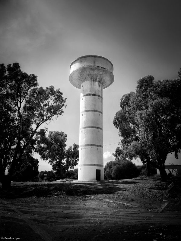 black and white, bnw, monochrome, architecture، building, outdoor, tower, building, algeria, photography, trees, shadow, symmetry, water tower, Water towerphoto preview
