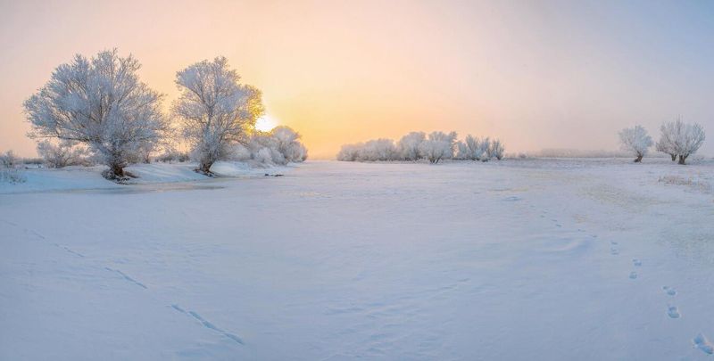 у села  камышово БЕЛОЕ  БЕЗМОЛВИЕphoto preview