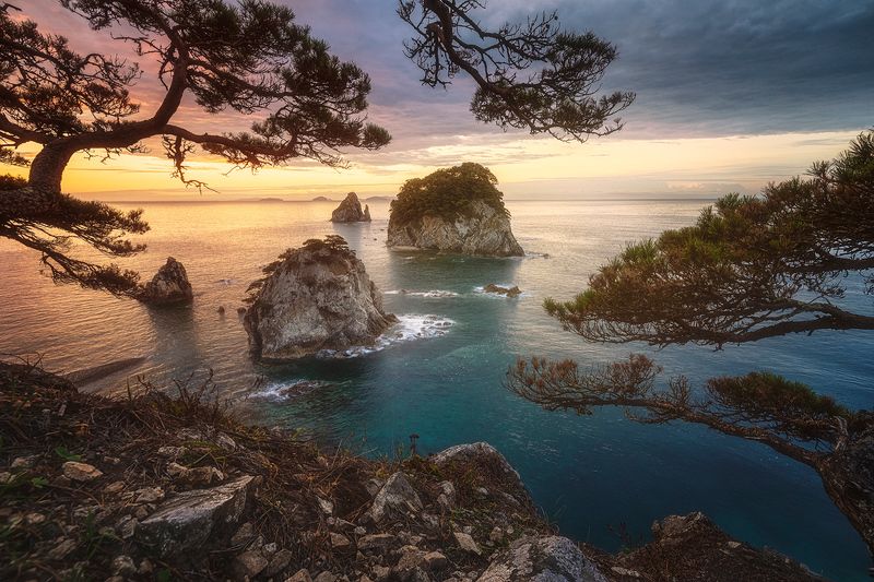 россия приморский край морской заповедник сосны осень трава рассвет море свет пейзаж природа фототур кекуры бакланьи мыс сосновый Рассвет с видом на кекуры Бакланьиphoto preview