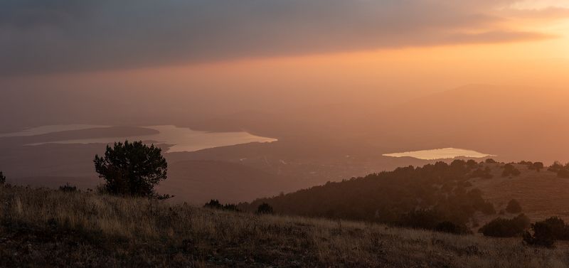 происхождение цветаphoto preview