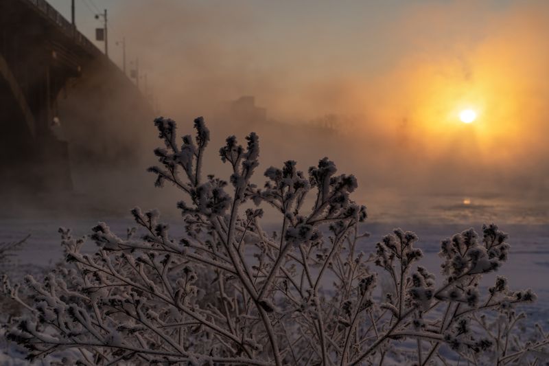 иркутск, ангара, туман, зима, рассвет Зимний рассвет у Глазковского мостаphoto preview