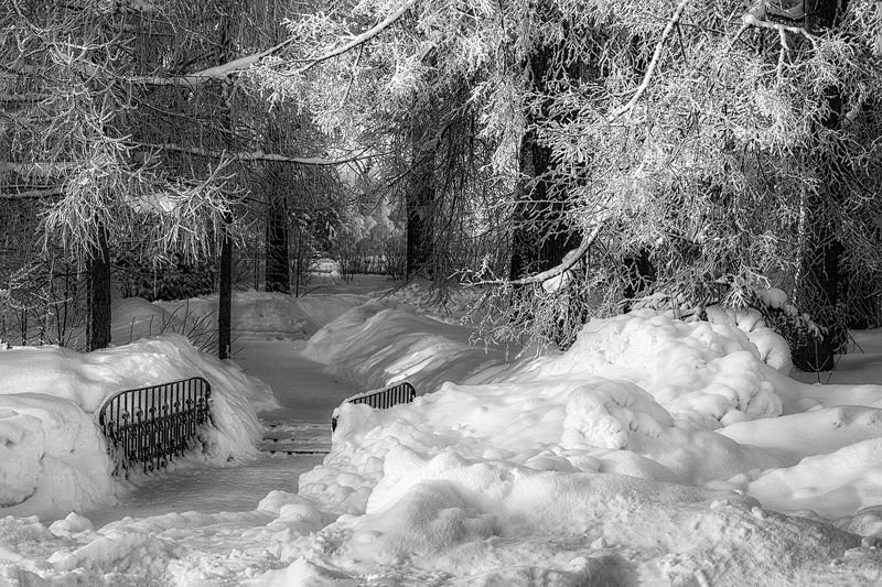 пейзаж, черно-белое, зима, утро, парк, александр никитинский Утром в парке...photo preview