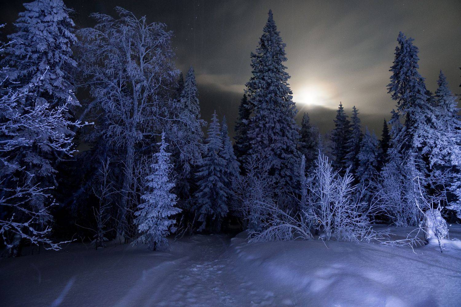 *******. Автор: Андрей Шарапов , Андрей Шарапов