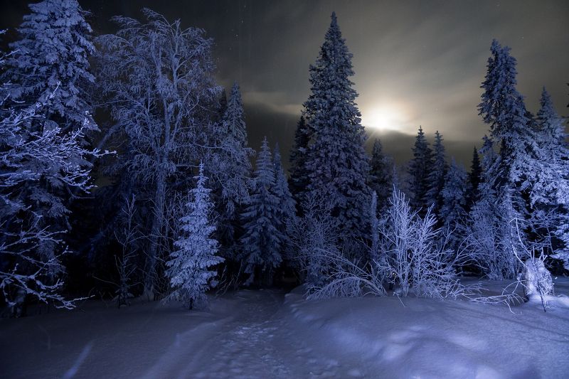 *******photo preview