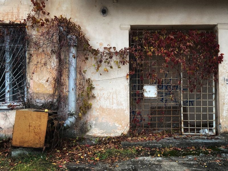 pavelskvortsov Быльphoto preview