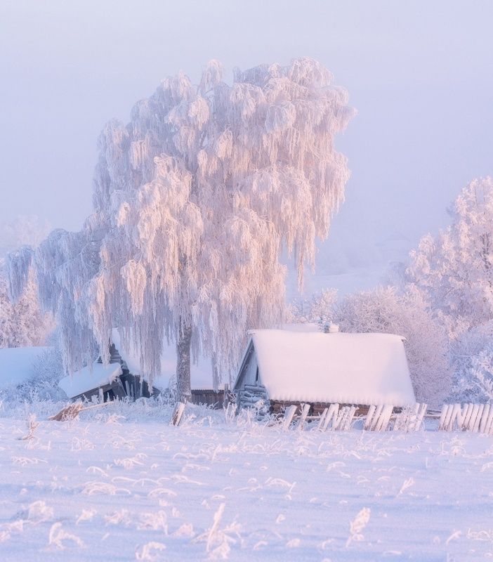 Сказка морозного утраphoto preview