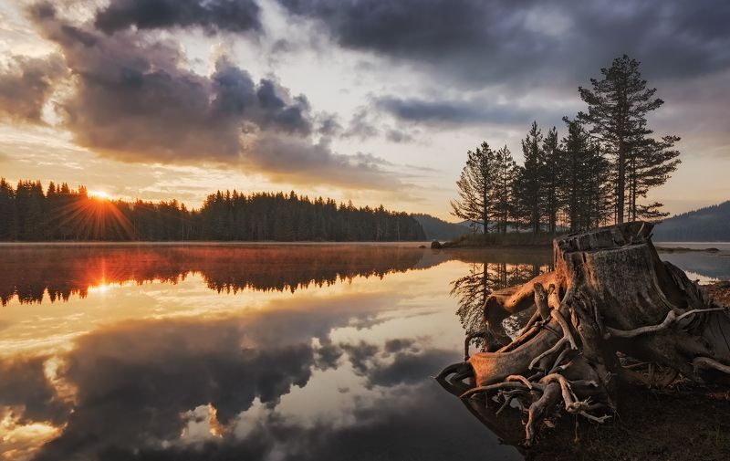 болгария, озеро, река, водоем, утро, вечер, закат, восход, лес, природа, широкая поляна, природный парк, bulgaria, lake, river, pond, sunset, sunrise, forest, morning, evening, wood, national park Заповедник Широкая поляна / Wide meadowphoto preview