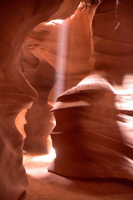 путешествие, каньон Желанный гостьphoto preview