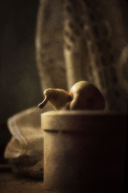 Ленивая грушаphoto preview