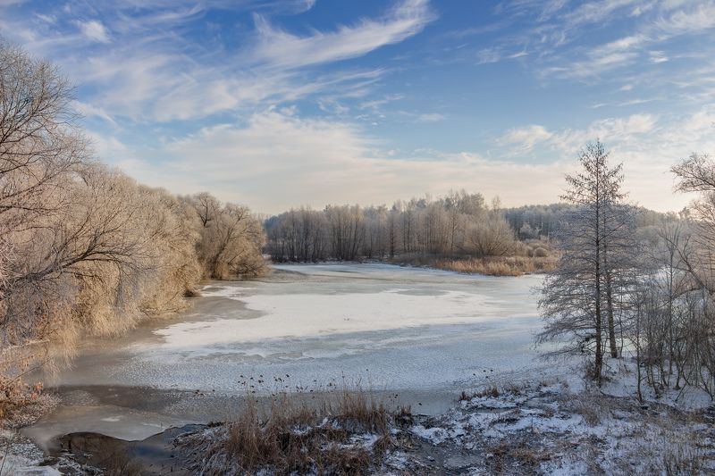 лес, деревья, зима, иней, природа photo preview