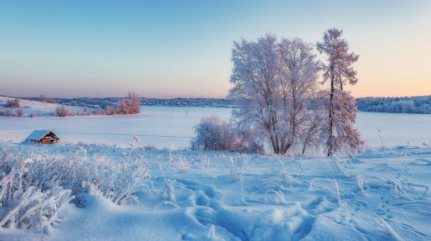 кенозеро, мороз, утро, зима, Владимир Липецких