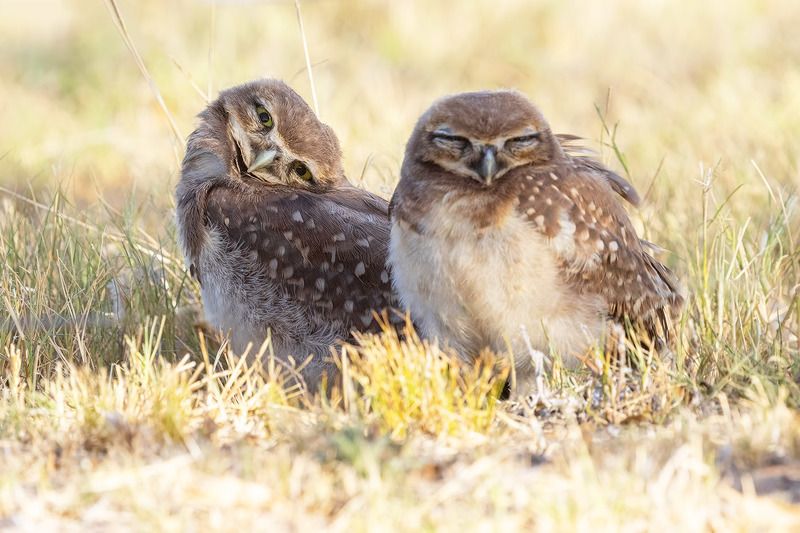 Малышняphoto preview