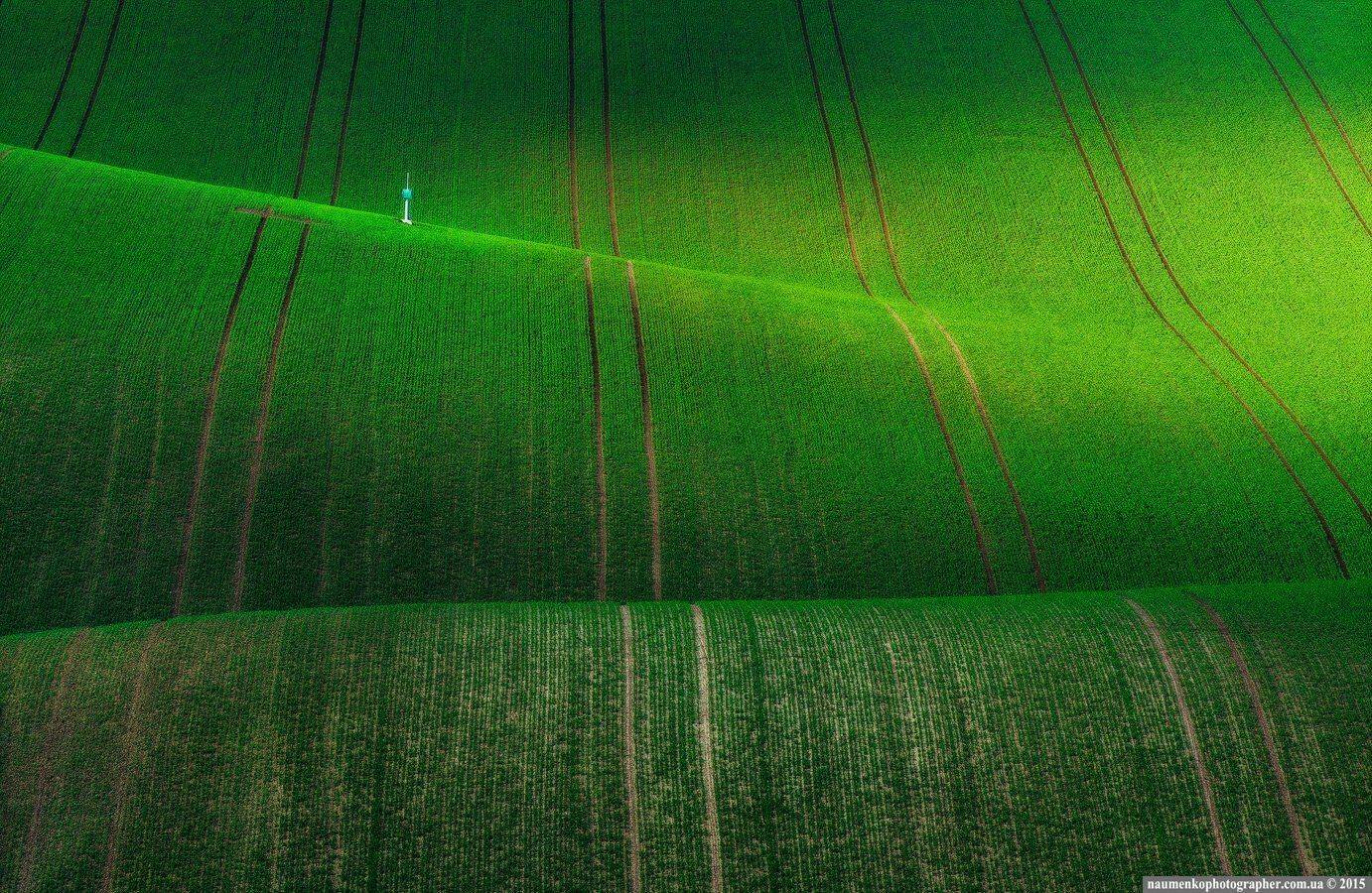 Чехия. Моравские поля.. Автор: Александр Науменко , Александр Науменко