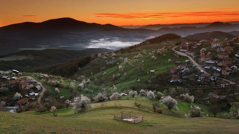българия, весна, гора, деревья, рассвет, родопи Просыпается деревнюphoto preview