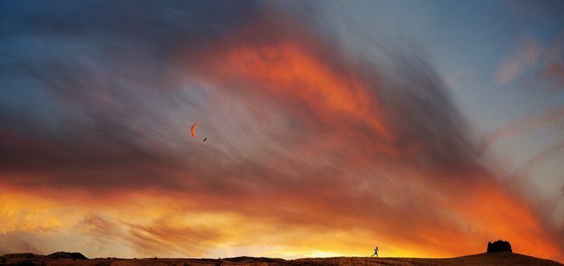 The Heart Is a Lonely Hunterphoto preview