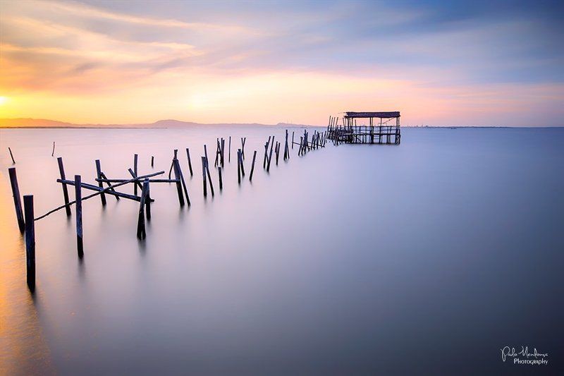 Soft Carrasqueiraphoto preview